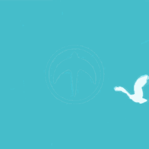 a white bird is flying in the sky .