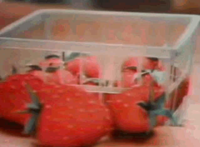 Strawberry Strawberries GIF - Strawberry Strawberries Fruit GIFs