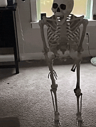 a skeleton is standing on a carpeted floor in a room .
