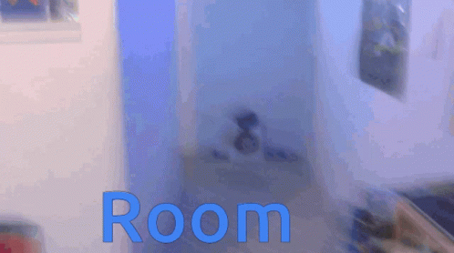 Room GIF - Room GIFs