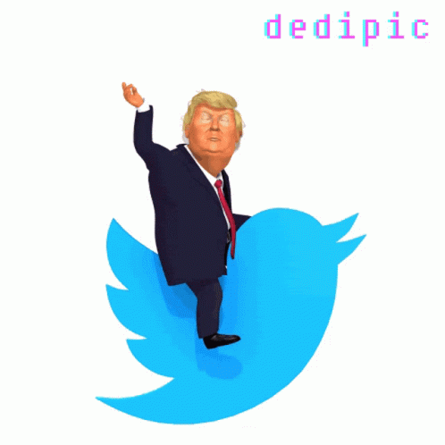 Master Of Twitter Trump Twitter GIF - Master Of Twitter Trump Twitter Twitting Trump GIFs