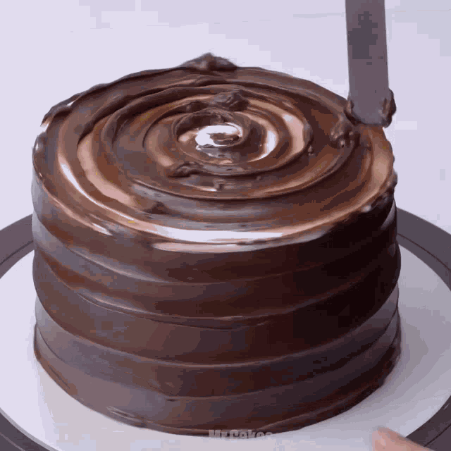 a chocolate cake with a swirl of chocolate frosting on top