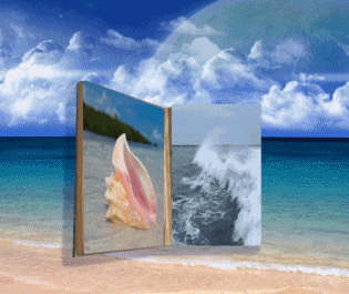 a book is open to a beach scene with a sea shell