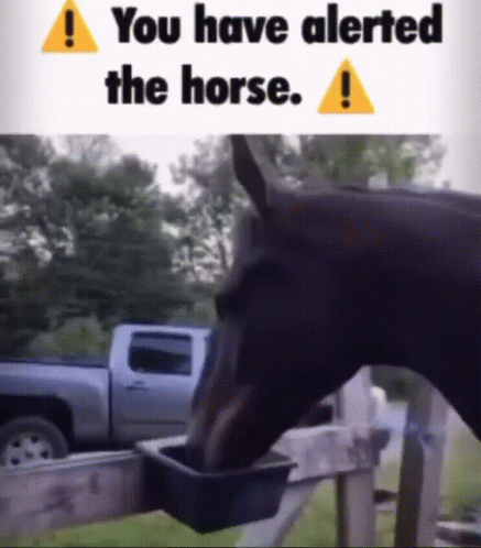 Horse Alert Icon GIF - Horse Alert Icon Warning GIFs