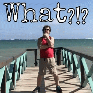 What Wickified GIF - What Wickified GIFs