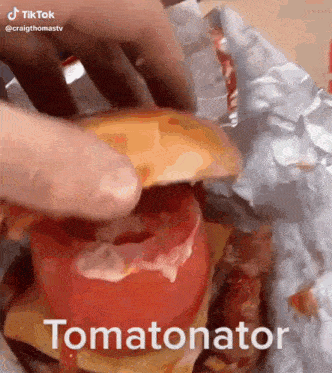 a person is putting a tomato on top of a hamburger with the words tomatonator written on the bottom