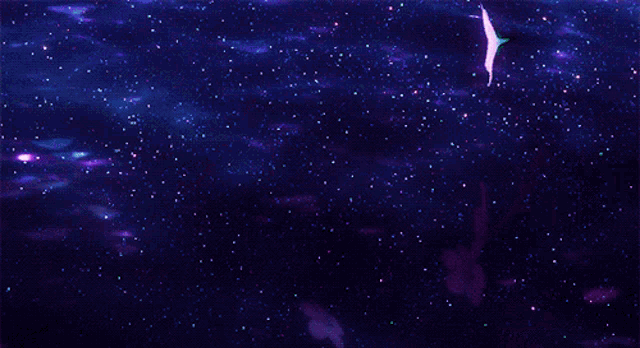 purple and white flowers floating in the water
