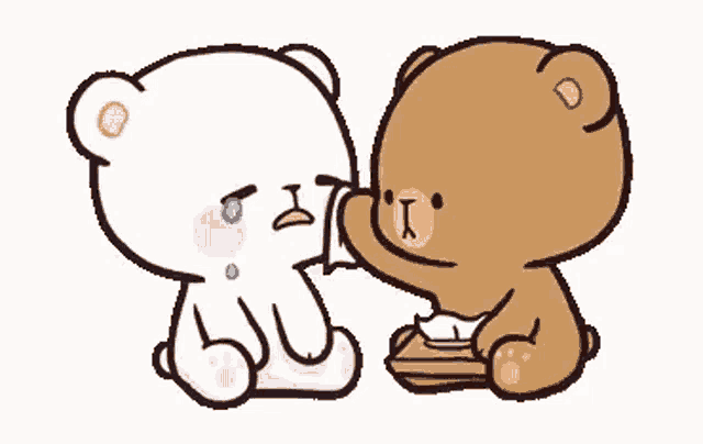 two teddy bears are sitting next to each other on a white background .