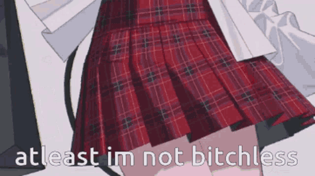 a red plaid skirt with the words atleast im not bitchless on it