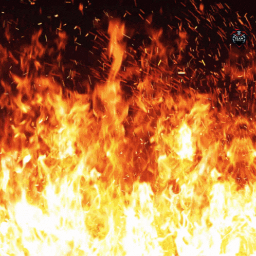 a picture of a fire with the word fire on the bottom right