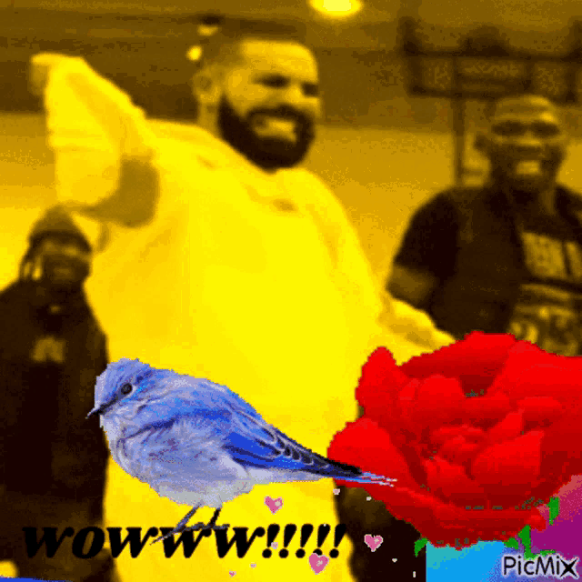 a picture of a man dancing with a blue bird and a red rose with the words wow on it