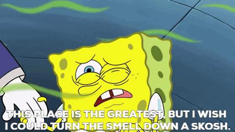 Spongebob This Place Is The Greatest GIF - Spongebob This Place Is The Greatest But I Wish I Could Turn The Smell Down A Skosh GIFs