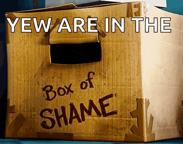 Yew Are In The Box Of Shame Embarrassed GIF