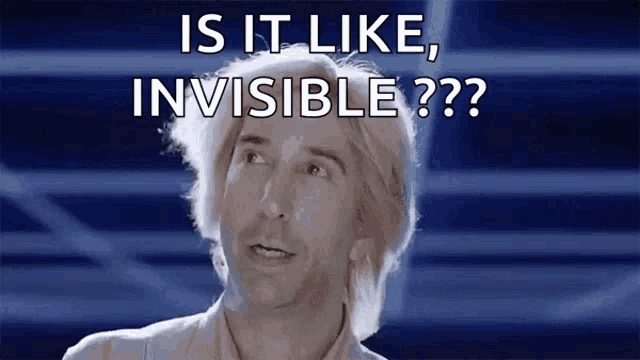 a man with blonde hair says " is it like invisible ?? "