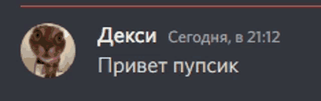 a picture of a cat in a circle with the words " dexci сегодня , в 21:12 " below it