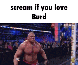 a wrestling match is being played in front of a crowd and the words scream if you love burd