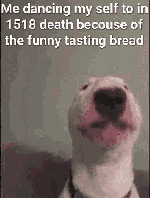 a white dog with a caption that says me dancing my self to in 1518 death because of the funny tasting bread
