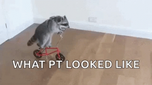 Physicaltherapy Reality GIF - Physicaltherapy Reality GIFs