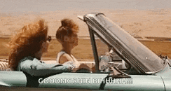 two women are driving a convertible car on a desert road and talking to each other .