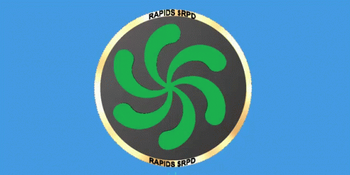 Rapids Rpd GIF - Rapids Rpd Rapids Network GIFs