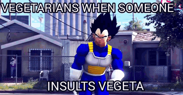 a cartoon character with the words vegetarians when someone insults vegeta written on it