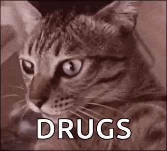 a cat is looking at the camera with the word drugs written on it .