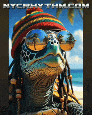 a turtle wearing sunglasses and a rasta hat is on a nycrhythm.com ad