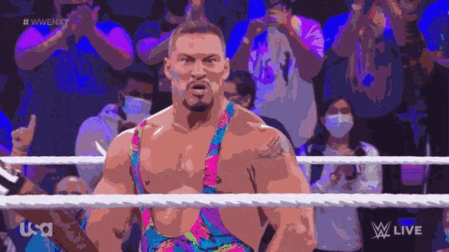 a man in a colorful outfit stands in a wrestling ring with a crowd behind him