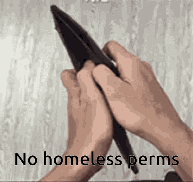No Homeless Perms GIF - No Homeless Perms GIFs