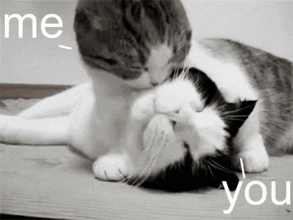 two cats are laying on top of each other on the floor .