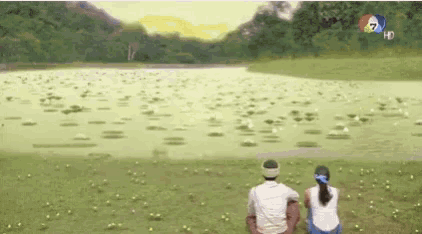 a man and a woman are sitting on the grass looking at a lake