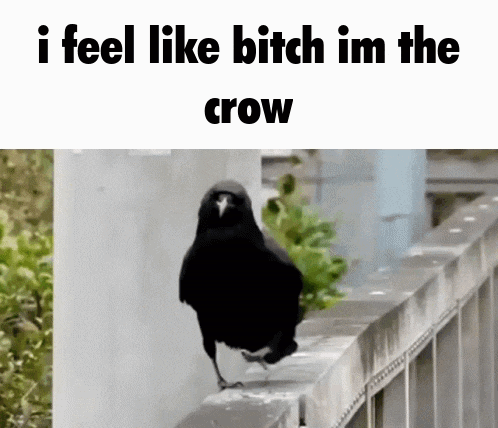 I Feel Like Bitch Im The Crow Lil Uzi Vert GIF - I Feel Like Bitch Im The Crow Lil Uzi Vert Pink Tape GIFs