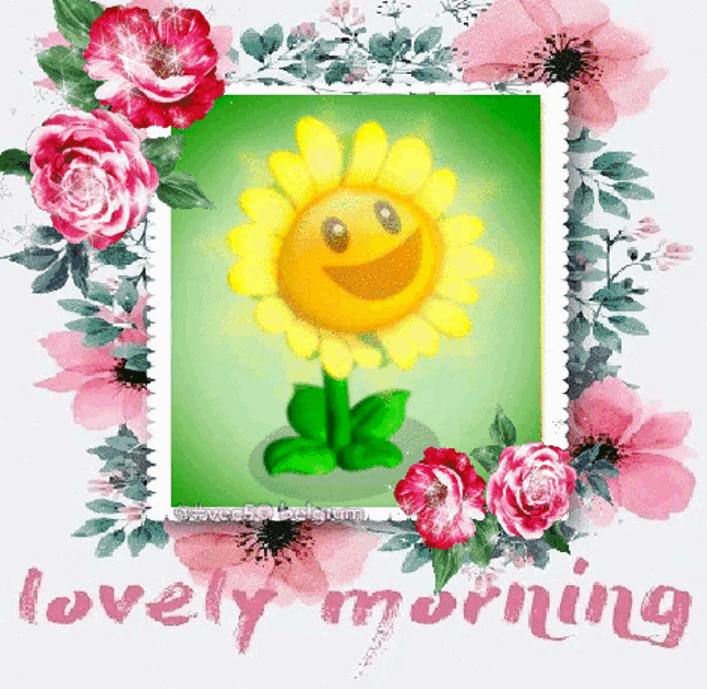 a picture of a sunflower with a smiley face and the words " lovely morning " below it