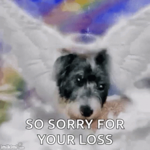Run Free Sorry For Your Loss GIF - Run Free Sorry For Your Loss Deepest Sympathy GIFs
