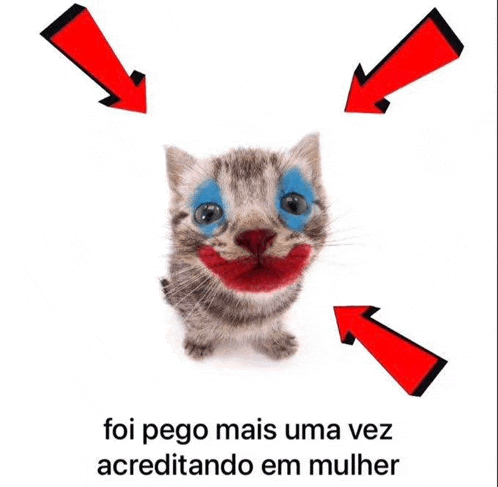 a kitten with clown makeup on its face is surrounded by red arrows and the words foi pego mais uma vez acreditando em mulher