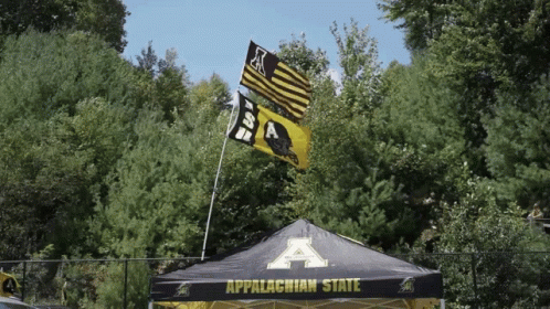 App State Football Appalachian State University GIF - App State Football App State Appalachian State University GIFs