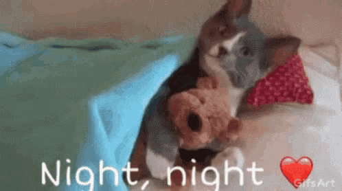 a kitten is sleeping with a teddy bear under a blanket on a bed .