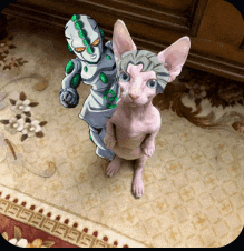 a cat is standing next to a statue of a robot