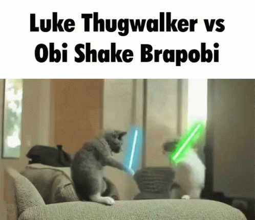 Thugshaker Cat GIF - Thugshaker Cat Star Wars GIFs