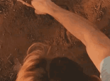 a close up of a person 's hand holding a stick in the dirt