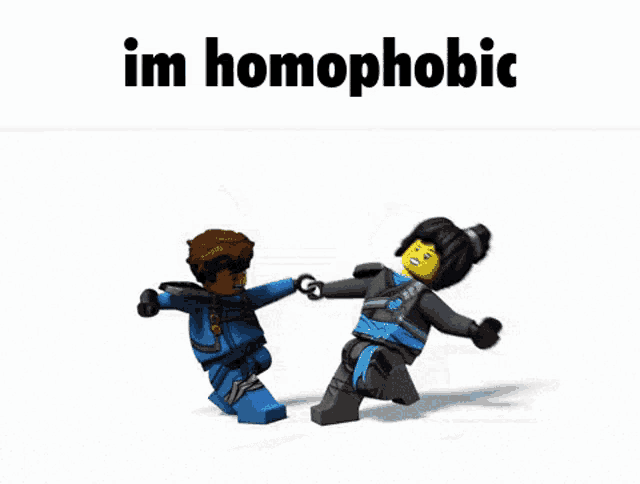 a couple of lego figures standing next to each other with the words im homophobic on the bottom
