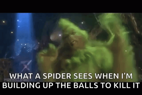 Grinch Dance GIF - Grinch Dance What A Spider Sees GIFs