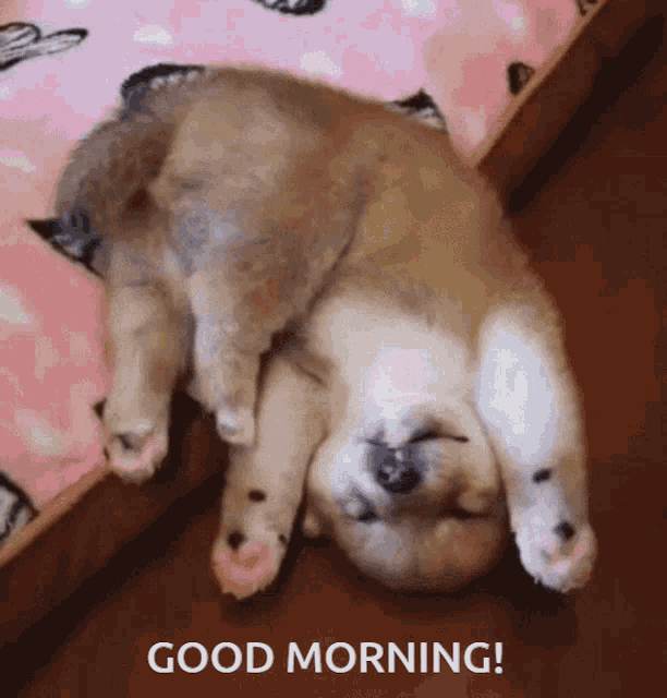 a puppy is laying upside down on its back with the words good morning below it
