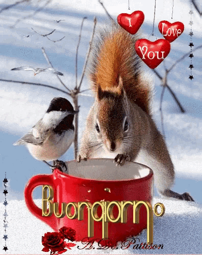 a squirrel sitting on top of a red cup with the words buongiorno written on it