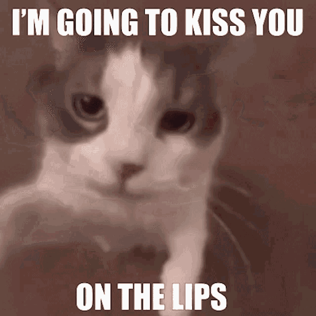 Im Going To Kiss You On The Lips GIF