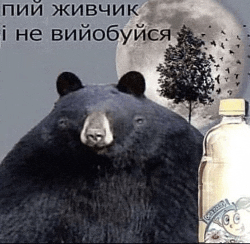 a black bear standing next to a bottle of gatorade