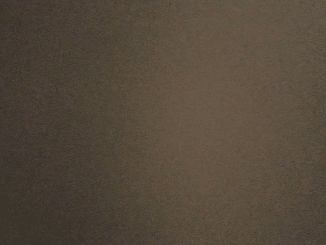 a close up of a brown background with a few spots on it
