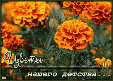 a greeting card with flowers and the words " цветы нашего детства " in russian