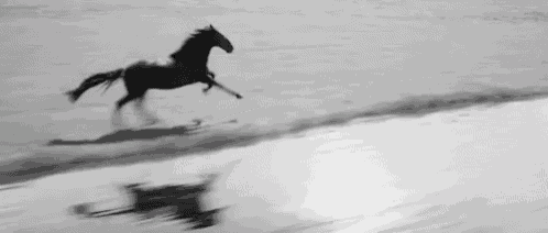 a black and white photo of a horse running on the beach
