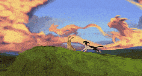 a cat and a rabbit are running on a hill